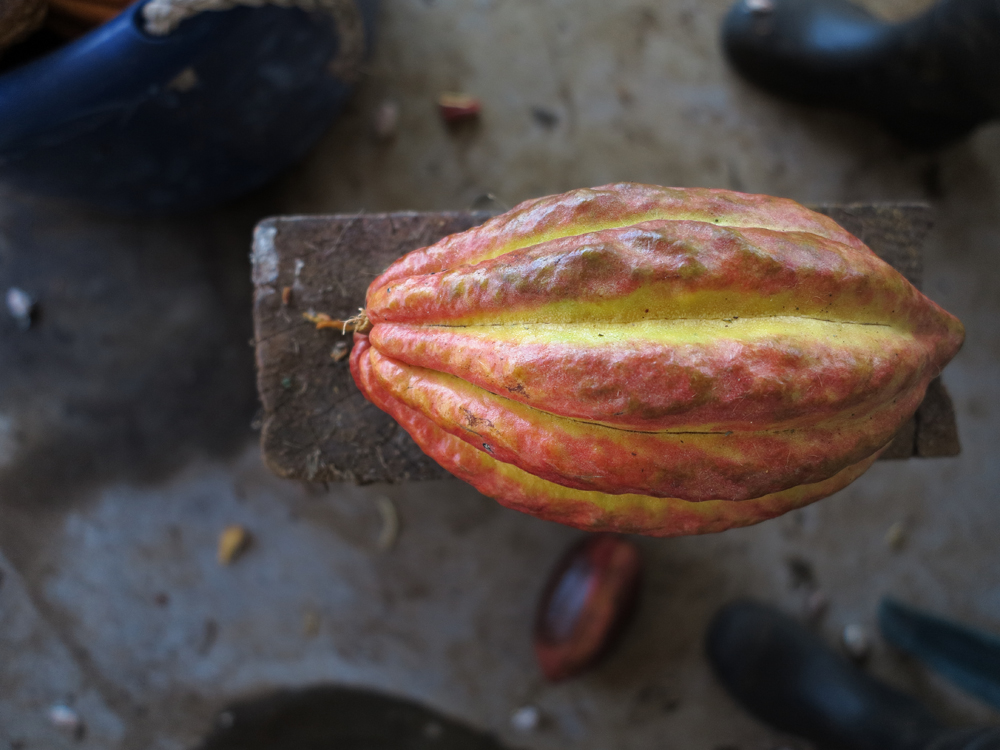 pod