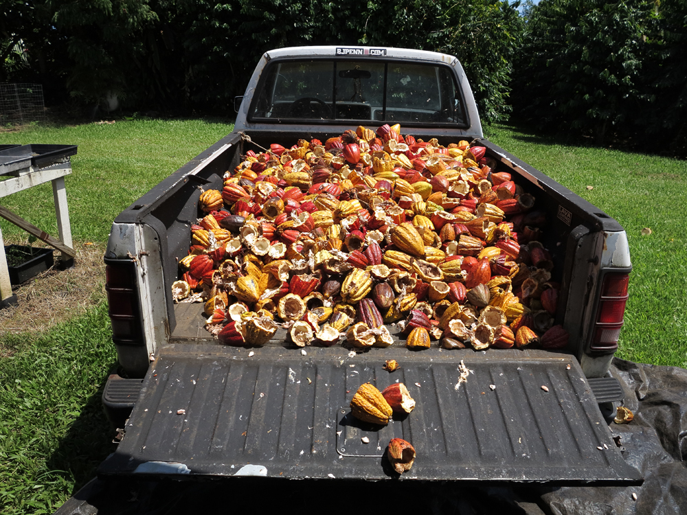 truck