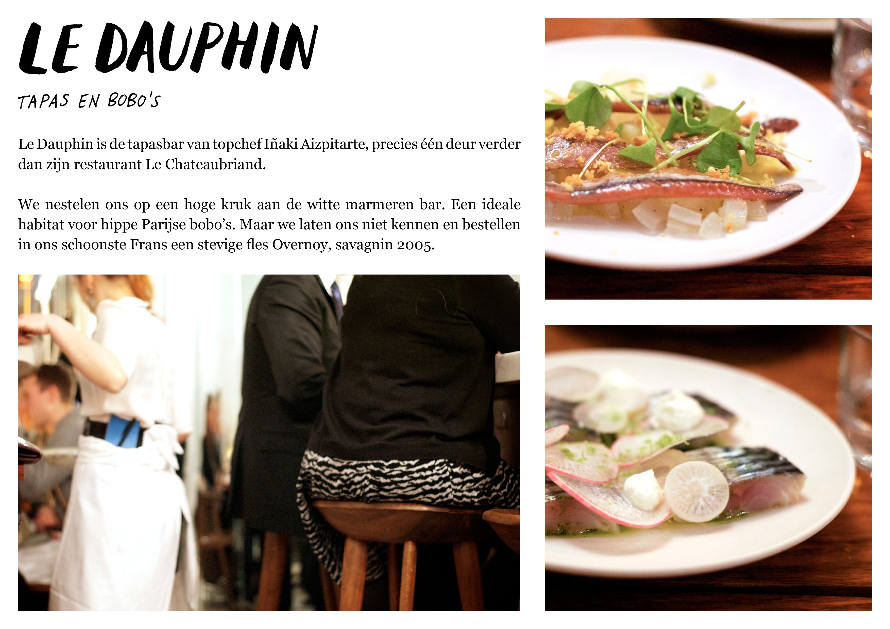5 le dauphin