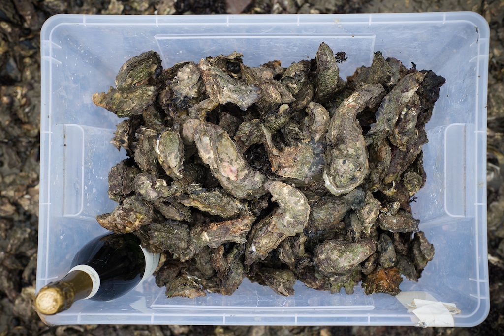 20130216 Oesters WEMELDINGE_034 (1)